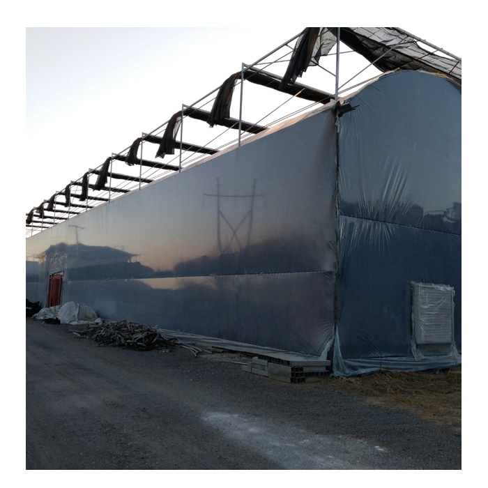 Multi-Span Blackout Poly Film Greenhouse