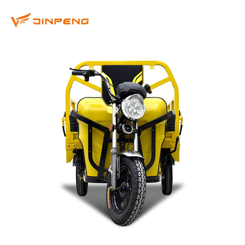 Tricycle électrique Jinpeng Cargo avec de multiples options de couleur au Népal