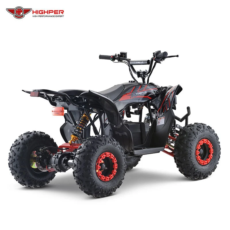 Entraînement par arbre 750 W 1 200 W, Quad Bike électrique à quatre roues, VTT