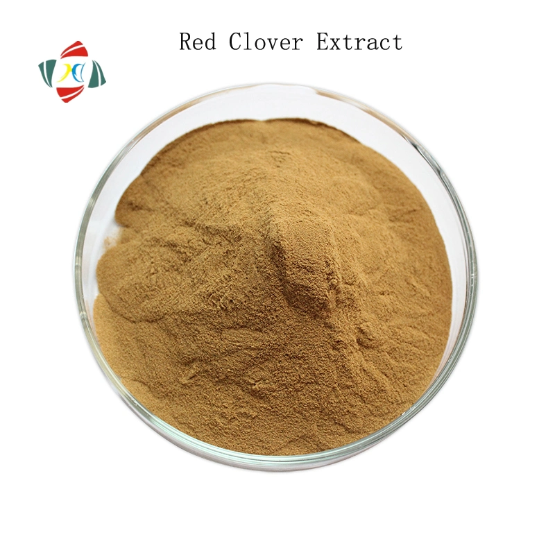 Top Quality Natural Factory Supply High Quality Red Clover Extract