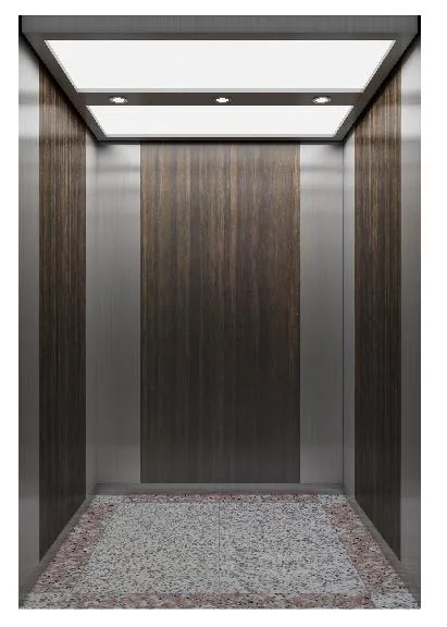 Fujixun ascenseur de voyageurs résidentiel ascenseur de maison ascenseur de Chine