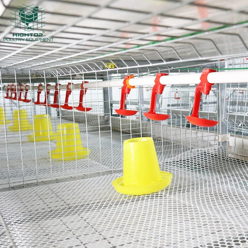 H Type Broiler Feeding System Automatic Battery Chicken Cage for Poultry Farming