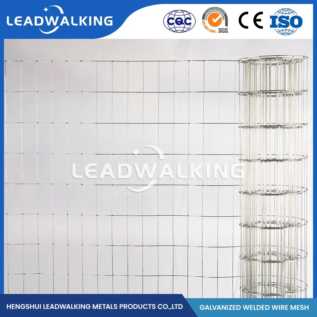 Leadwalking 2X2 PVC Coated Welded Wire Mesh Suppliers ODM Custom Gi Coated Welded Wire Mesh China 0.5mm Wire Thickness Zinc-Coated Welded Wire Mesh for Rack