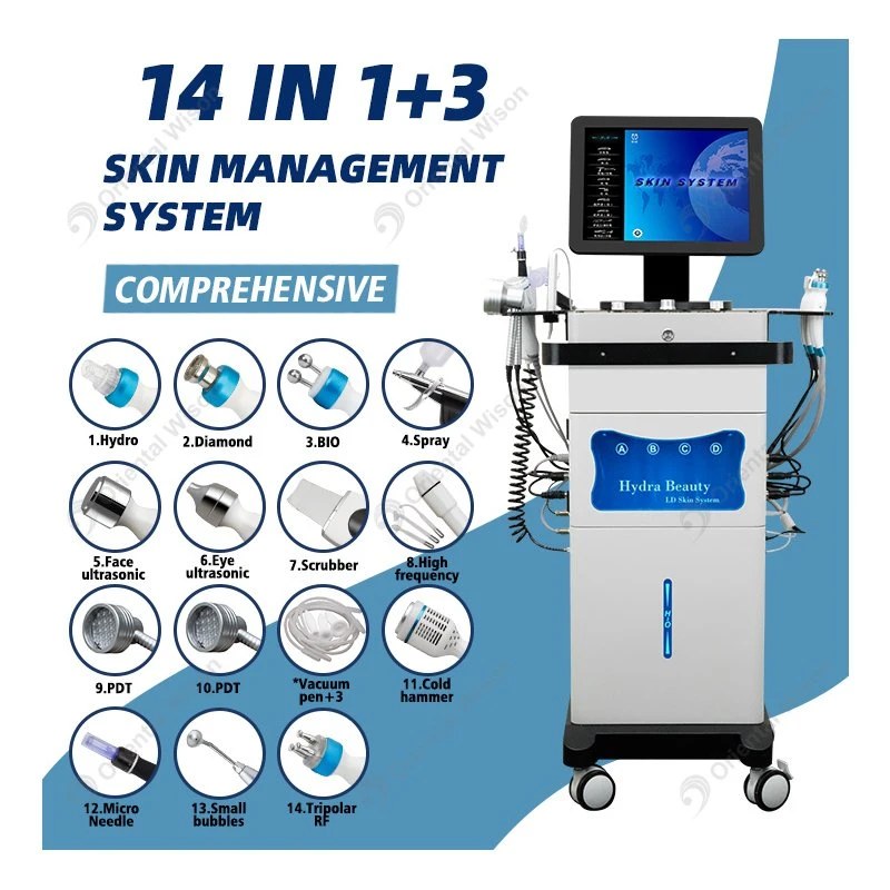 15 in 1 Hautreinigung Hautpflege Hydro RF Vakuum Kavitation Hochfrequenz Akne Entfernung Dr. Pen Schönheit Gesichtspeeling Für SPA Salon