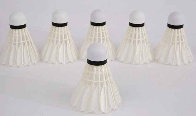 Deportes Badminton resistente Juego profesional de entrenamiento shuttlecock Badminton