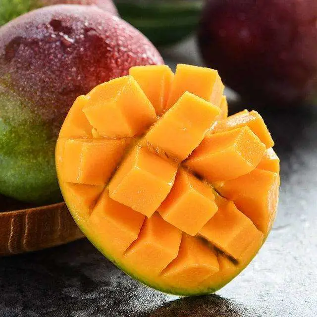 Kate Kiett Sichuan Mango Mango Mango grande venta fresco sabor original paquete fruta fresca con Certificación FDA