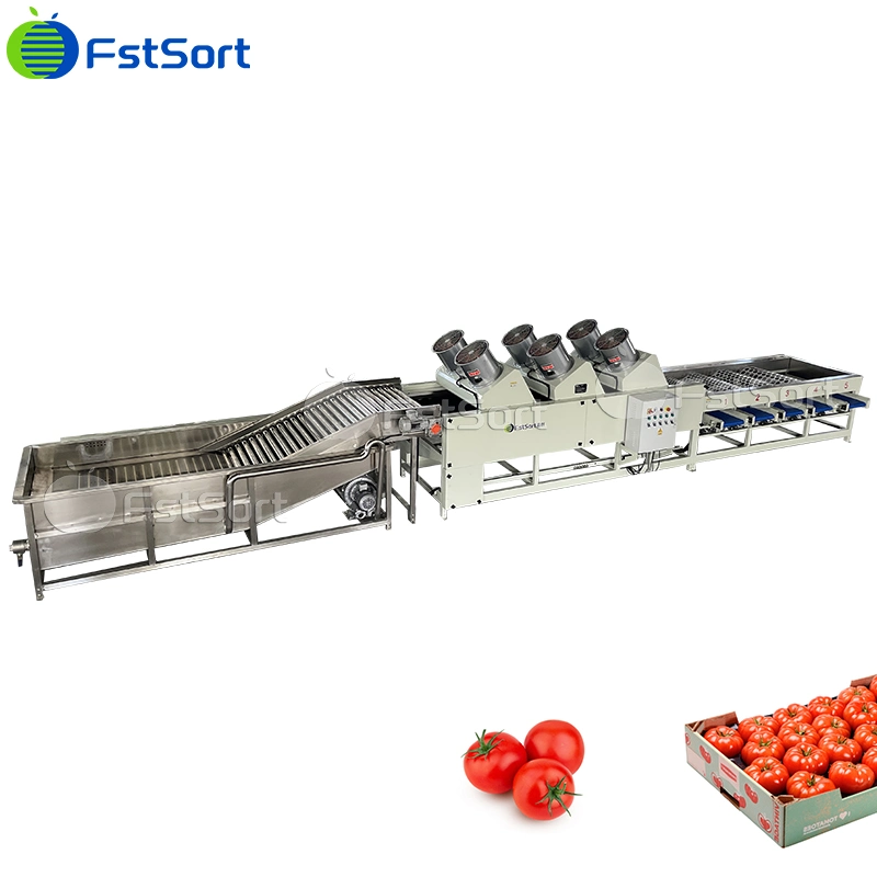 Clasificación de tomate Fstsort burbuja de la máquina Máquina de limpieza Secador de aire equipos de procesamiento de frutas verduras hortalizas tecnología de procesamiento de las empresas procesadoras