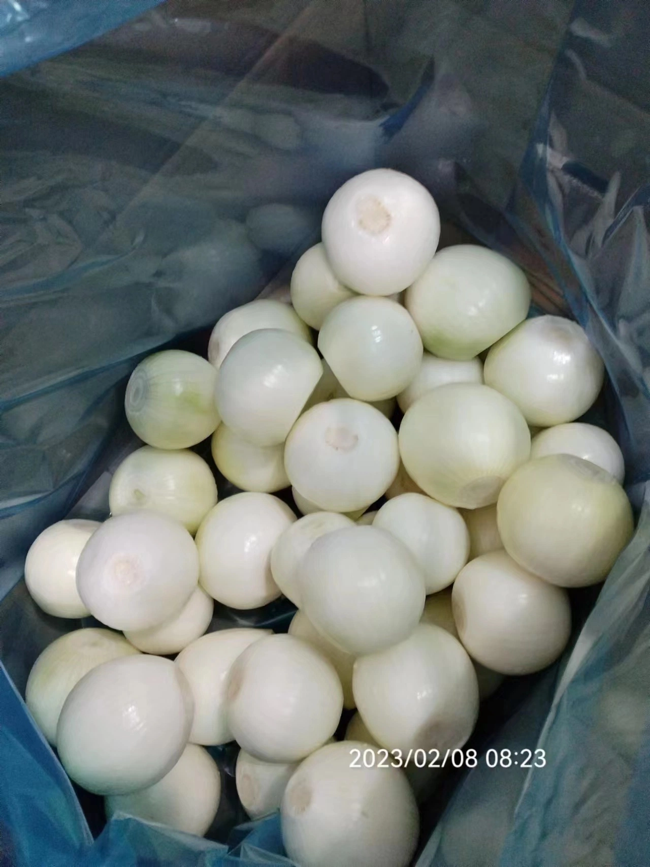 Whole Wholesale Red Yellow White Green Skin Crop Peeled Purple Organic Frozen Fresh Vegetable Onion Price From Factory Supplier