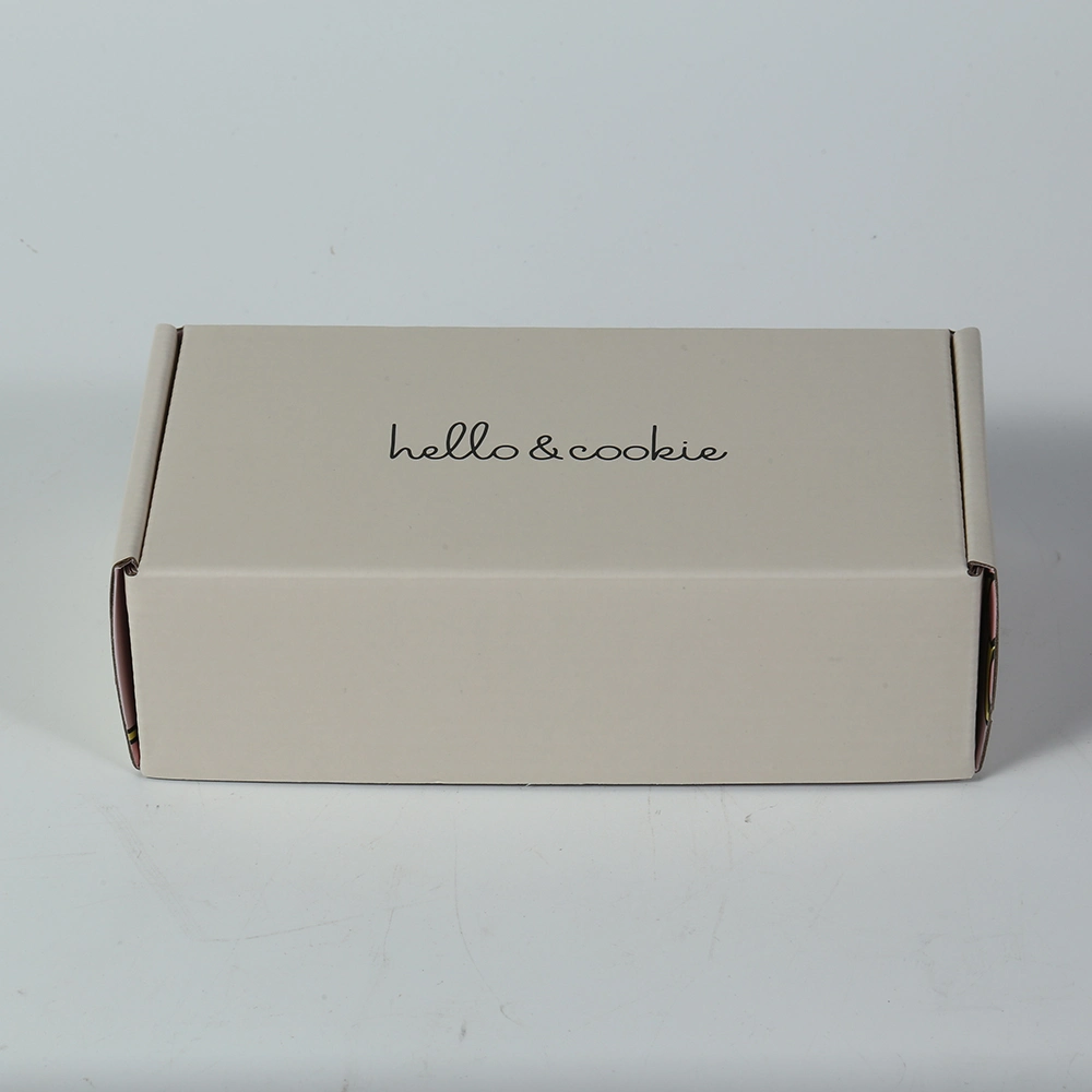 Luxury Laminationed Paper Packing Box Food with Window PE Aluminum Foil Zip Lock Pouch