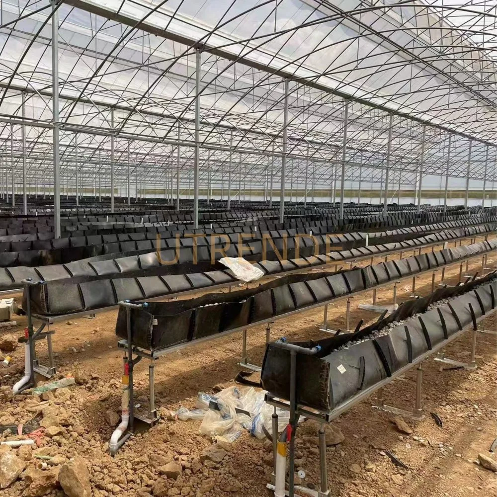 Agriculture Greenhouse PP PE Hydroponic Seeding Planting Growing Gutter