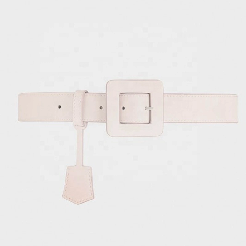 2021 Custom Vegan Leather Ladies Classic Fashion Women Waist Buckle Belt