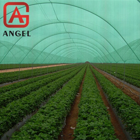 Hot Sale PP Spunbonded Nonwoven Fabric for Weed Agriculture Control Mat