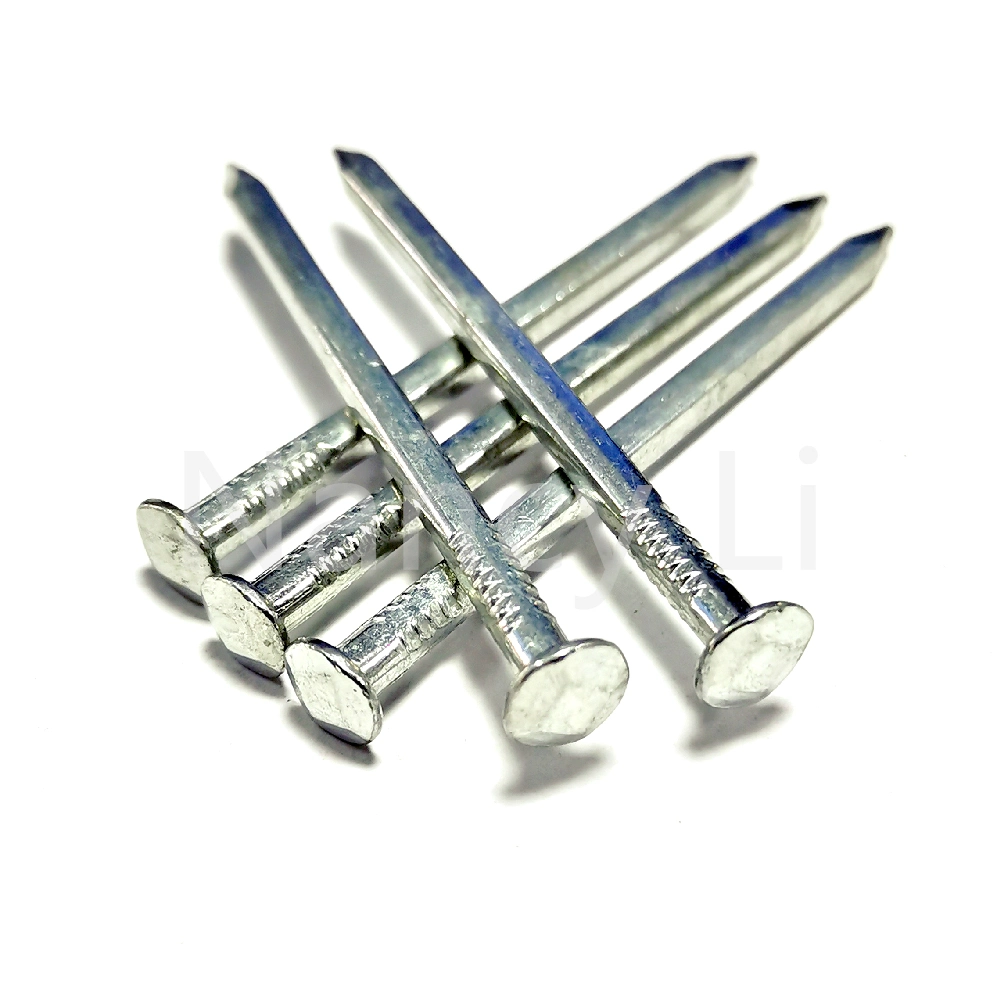 E. G Square Boat Nails Elctro Galvanized Square Boat Nail/Boat Nail Polished Square Boat Nail Fastener 18kg