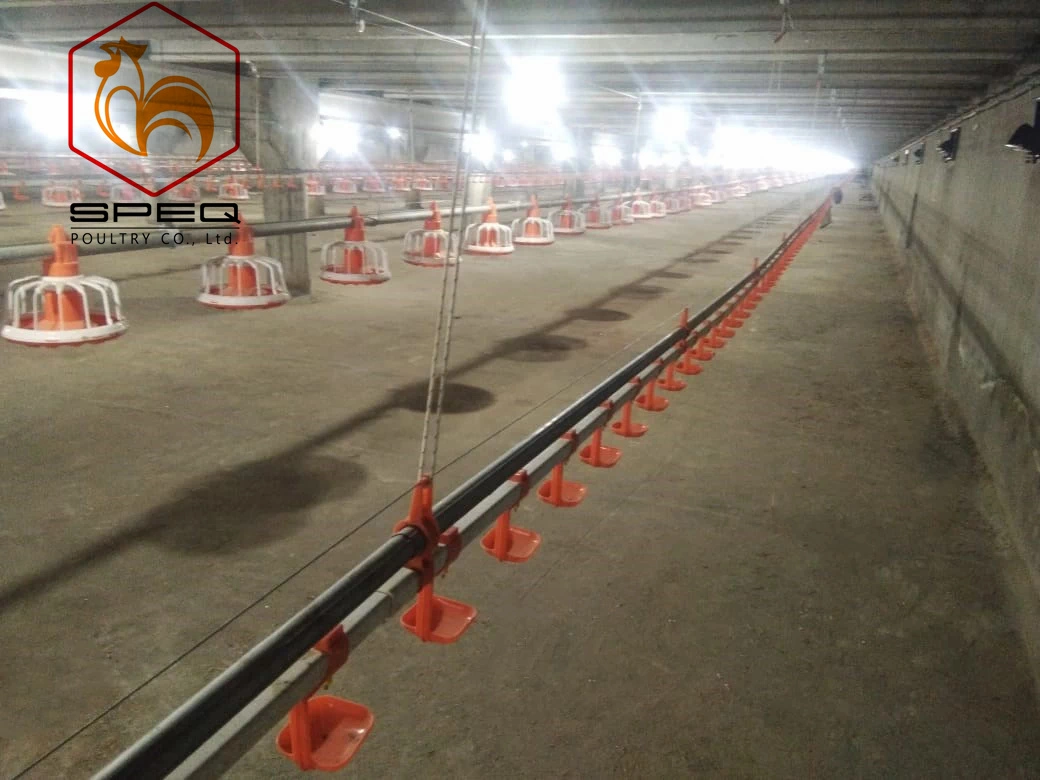 Livestock Machinery Poultry Farm Automatic Feeding Pan Line System for Broiler