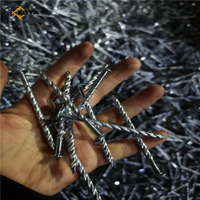 High quality/High cost performance Pallet Nail Spiral Shank/Twisted Shank Electronic Galvanized Hardware Fasteners