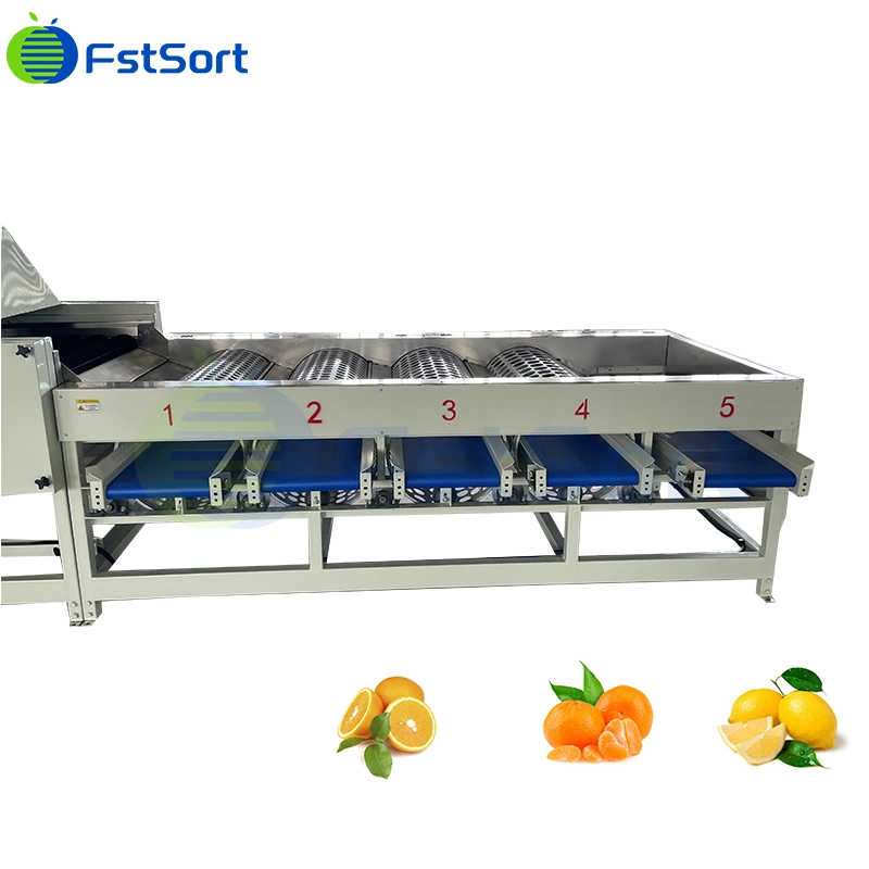 Hocheffizienter Citrus Automatische Sortiermaschine Fünf Klassen Trommelklassierer Automatische Zitrone Zitrone Mandarine Sortierung Sortiermaschine Verarbeitungslinie