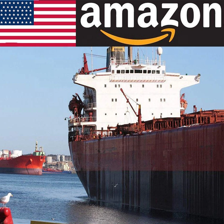 Sea Shipping Forwarder Agent to USA and Canada DDP DDU and Amazon Service