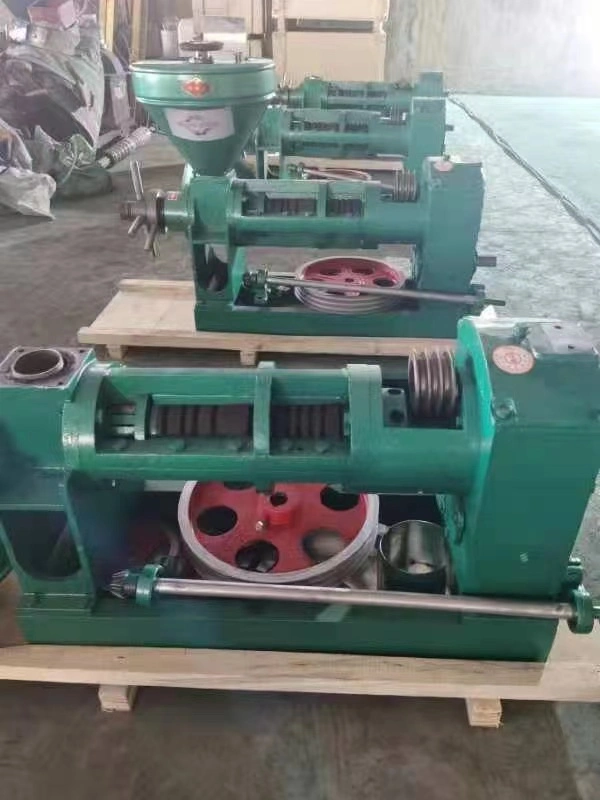 China Supply Sesame Sunflower Juicer Commercial Production Seed Automatic Soy Almond Industrial Cold Oil Press Machine Oil Processing Machine