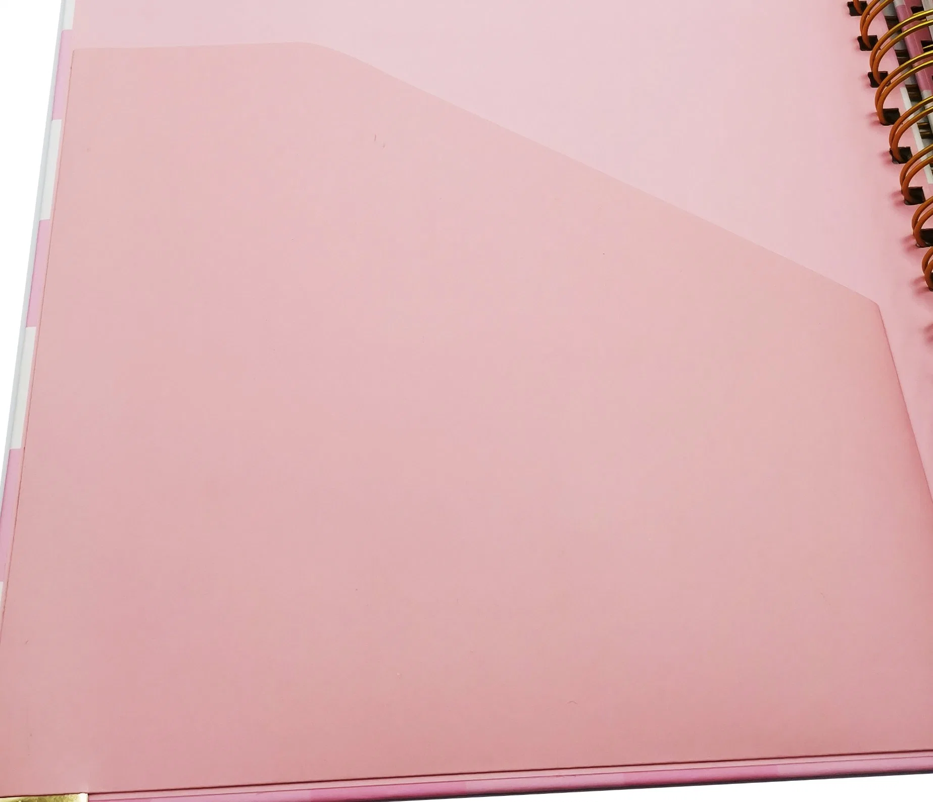 Cuaderno Planificador de alta calidad impresión personalizada en laminado mate Para planificador diario de 2023 años
