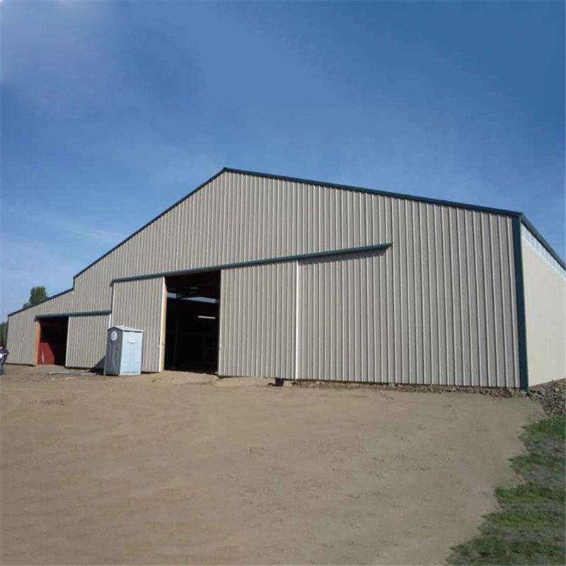 Steel Frame Construction Prefab Plant Factory Light Steel Structure Storehouse