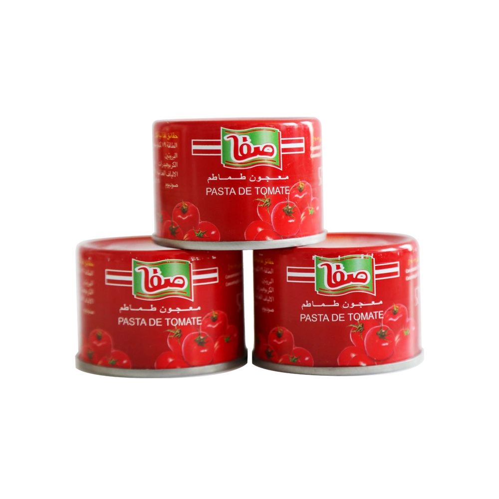 Pasta de tomate da melhor qualidade 28-30% Brix para o mercado de África