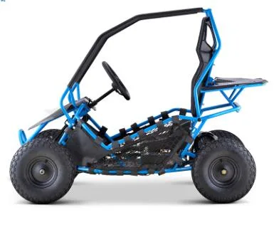 Barato Mini 4 Wheeled fuera de la carretera usado Go Karts