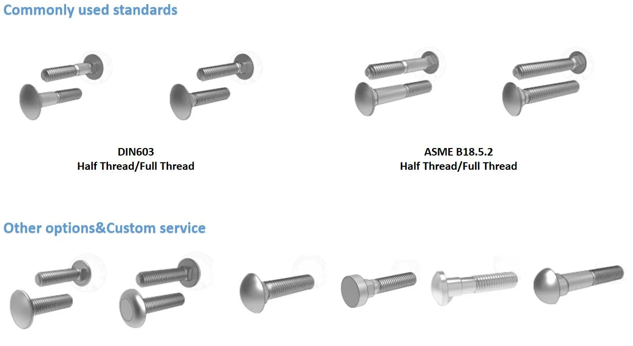 China Supplier DIN 603 Flat Head Bucket Coach Bolt and Nut