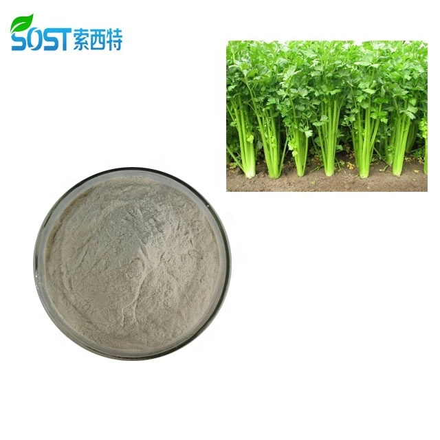 Dietary Supplements Vegetable Powder EU Organic Celery Juice Powder