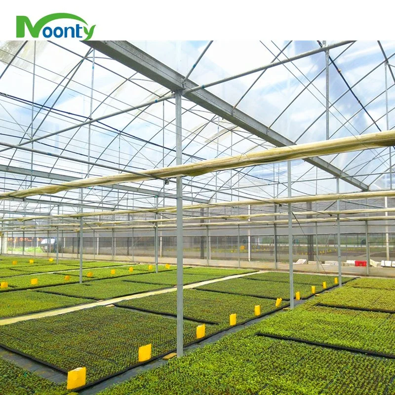 Tropical Sawtooth Roof Ventilation Greenhouse with Hydroponics System for Crops Growing