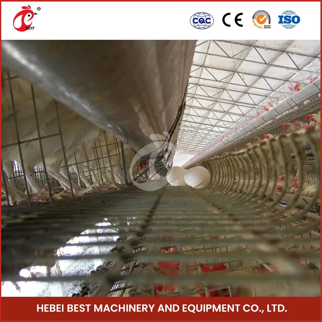 Bestchickencage a Type Layer Cage China Layer Chicken Battery Layer Cage Automatic Factory Wholesale/Supplier F and J Laying Cages Configuration Chicken Coop Floor