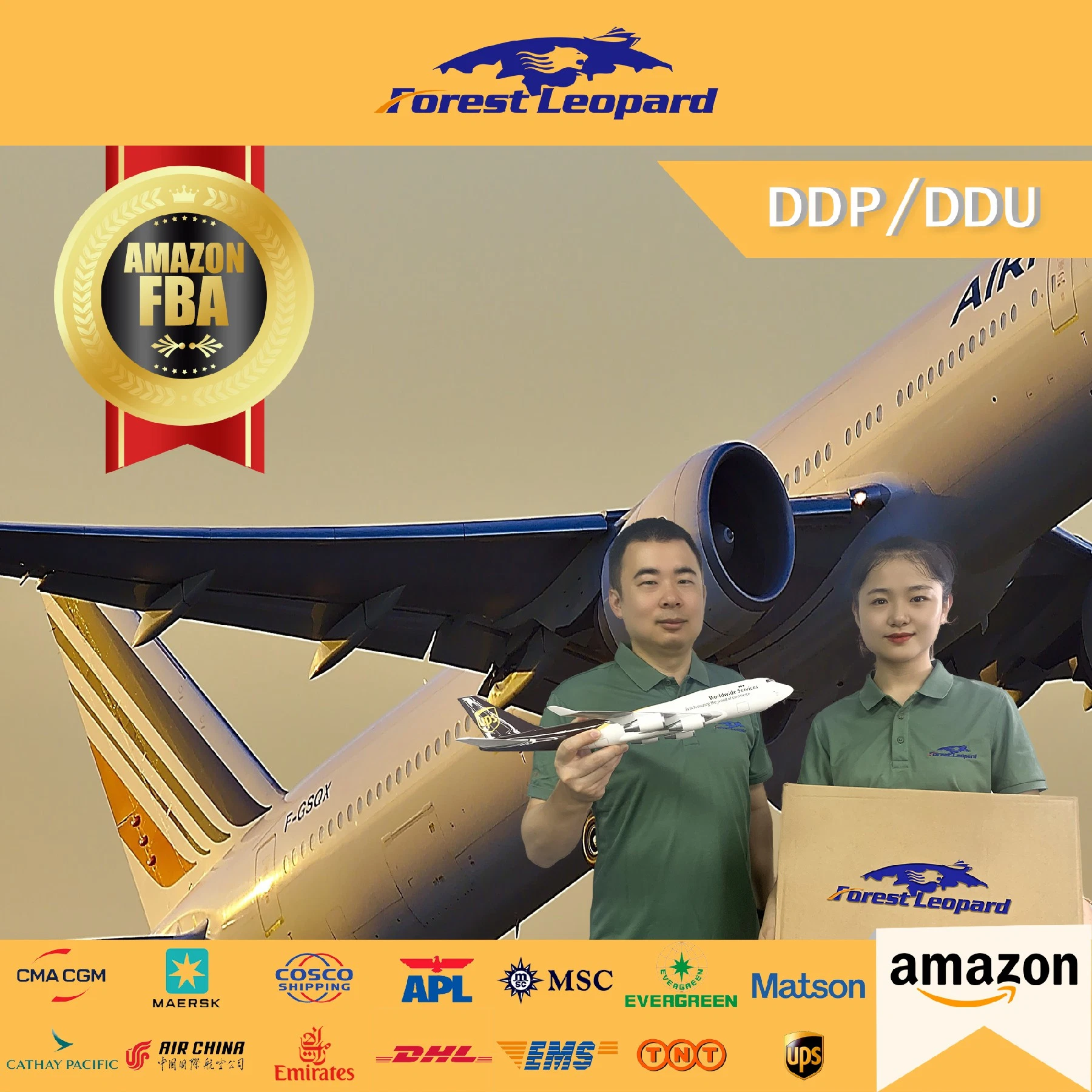 China Top 10 International Logistics Professional Freight Forwarder Shipping Service From China to USA/UK/Ca/EU DDP