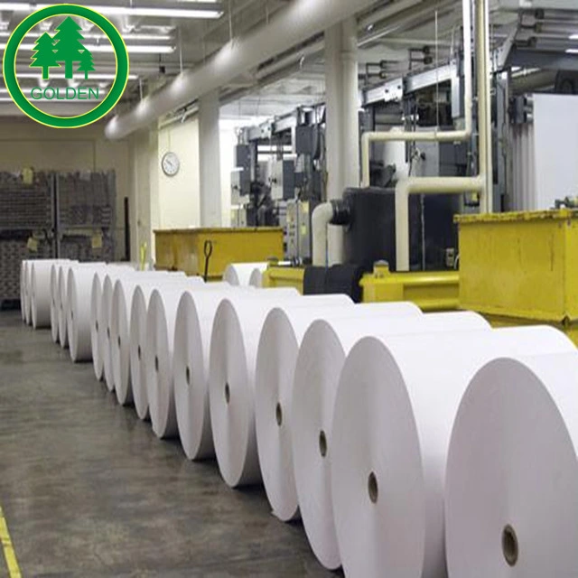 Wholesale/Supplier White 60 GSM Woodfree Notebook Printing Paper