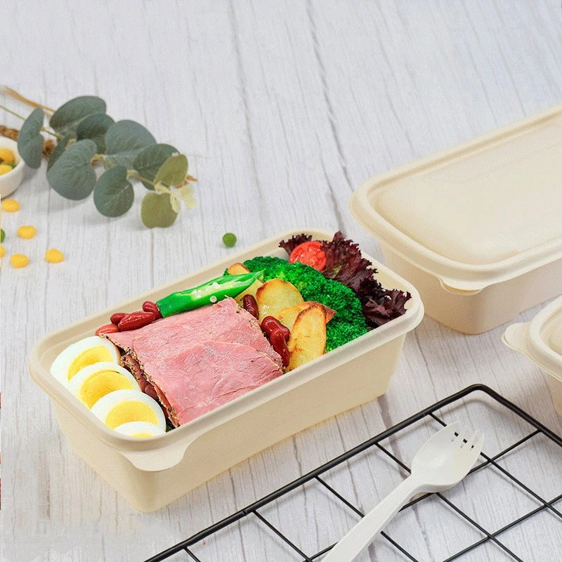 Dispos Lunch Gift Packaging for Biodegradable Bamboo to Carry Food Box