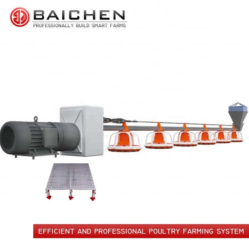 Chicken Raising Equipment Broiler Floor Raising System