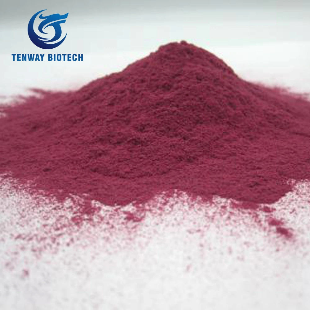 Natural Food Pigment Red Beet-Root Juice Powder for Anti-Cancer