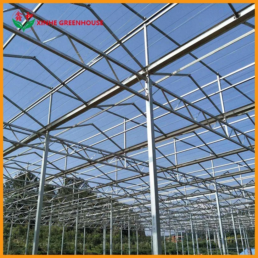 High Efficient Venlo Tempered Glass Greenhouse with Hydroponic Growing System