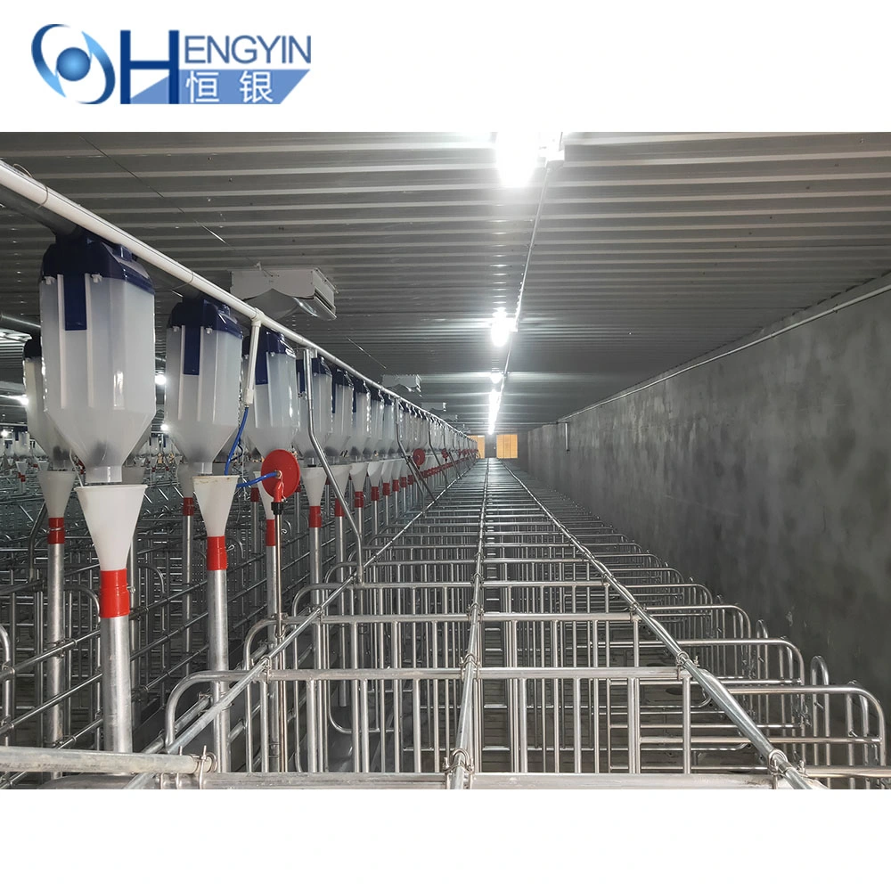 Eighty Percent Pig Farm Use Galvanized Pig Cages