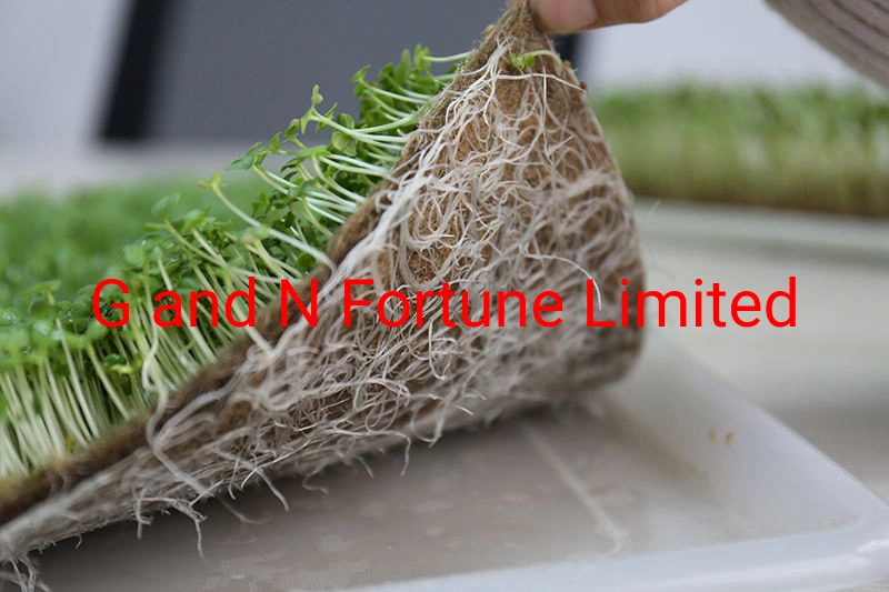 100% Natural Jute Fiber Needle Punched Micro Green Growing Mat 1000 Gram Per Square Meter