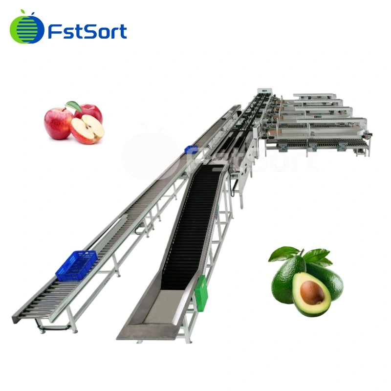 Industrial Production Line for Citrus/Orange/Apple/Avocado/Peach/Pear Fruits Washing Drying Sorting Processing Machine
