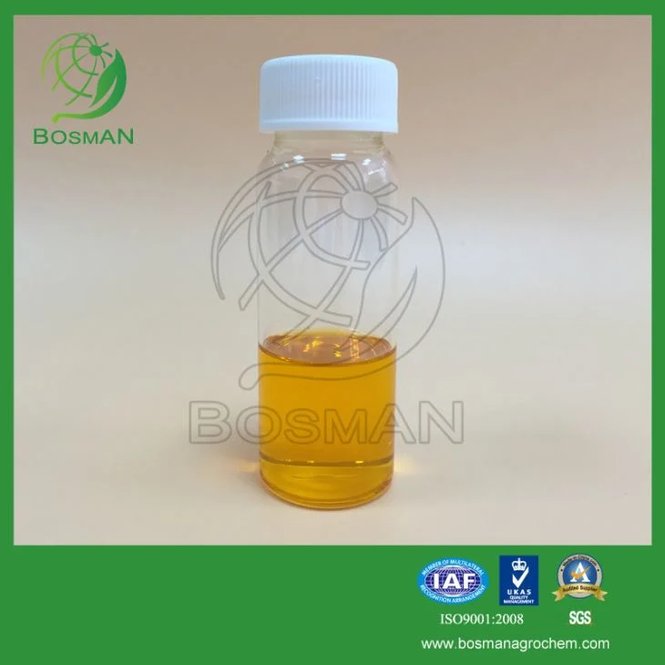 Pconconazole 100 جم/لتر EC مبيد الفطريات والبتروبيدات