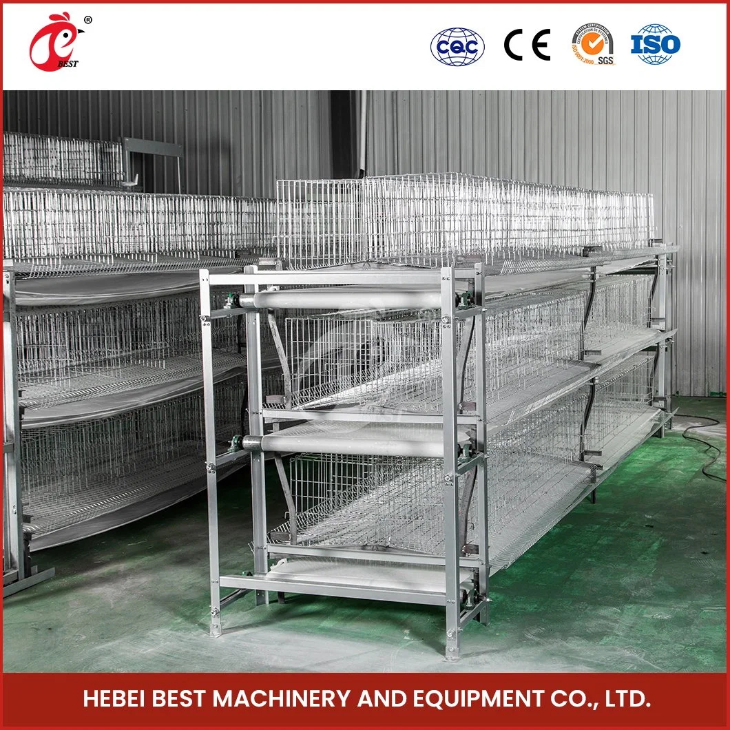 Bestchickencage H Type Baby Chicken Cage Breeder Cage China Small Chicken House Manufacturer High-Quality Applicable Hotels Upcycled Pullet Chicken Coop