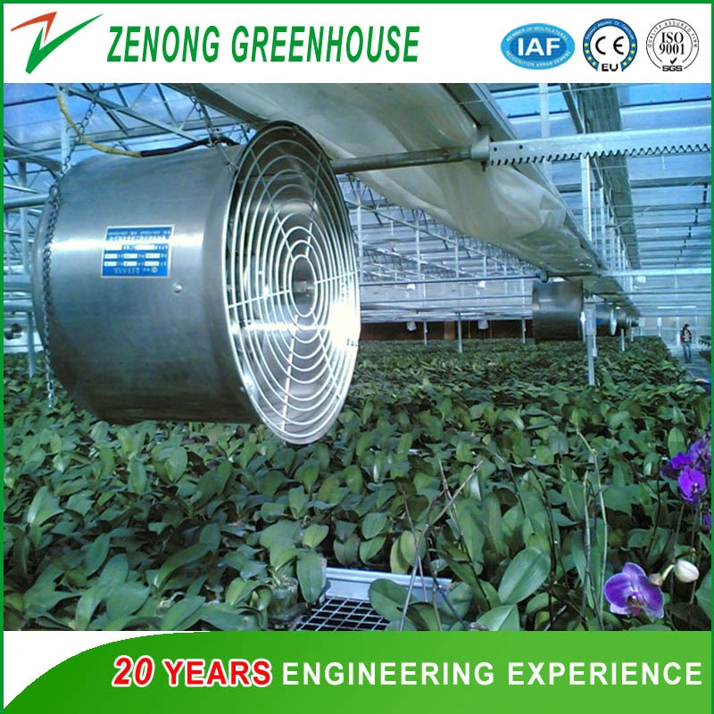 Hot Sale Horizontal Air Flow Circulating Fan