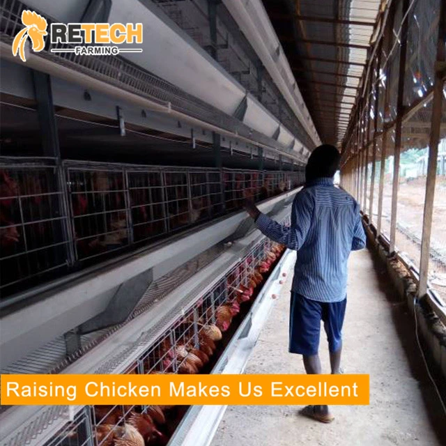 Good design light steel structure chicken farm poultry house in Africa