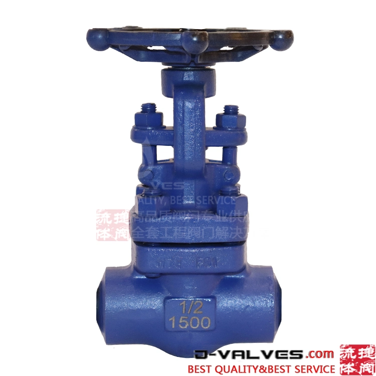 F91 Forged Thread Inlet X Socket Weld Outlet Gate Valve