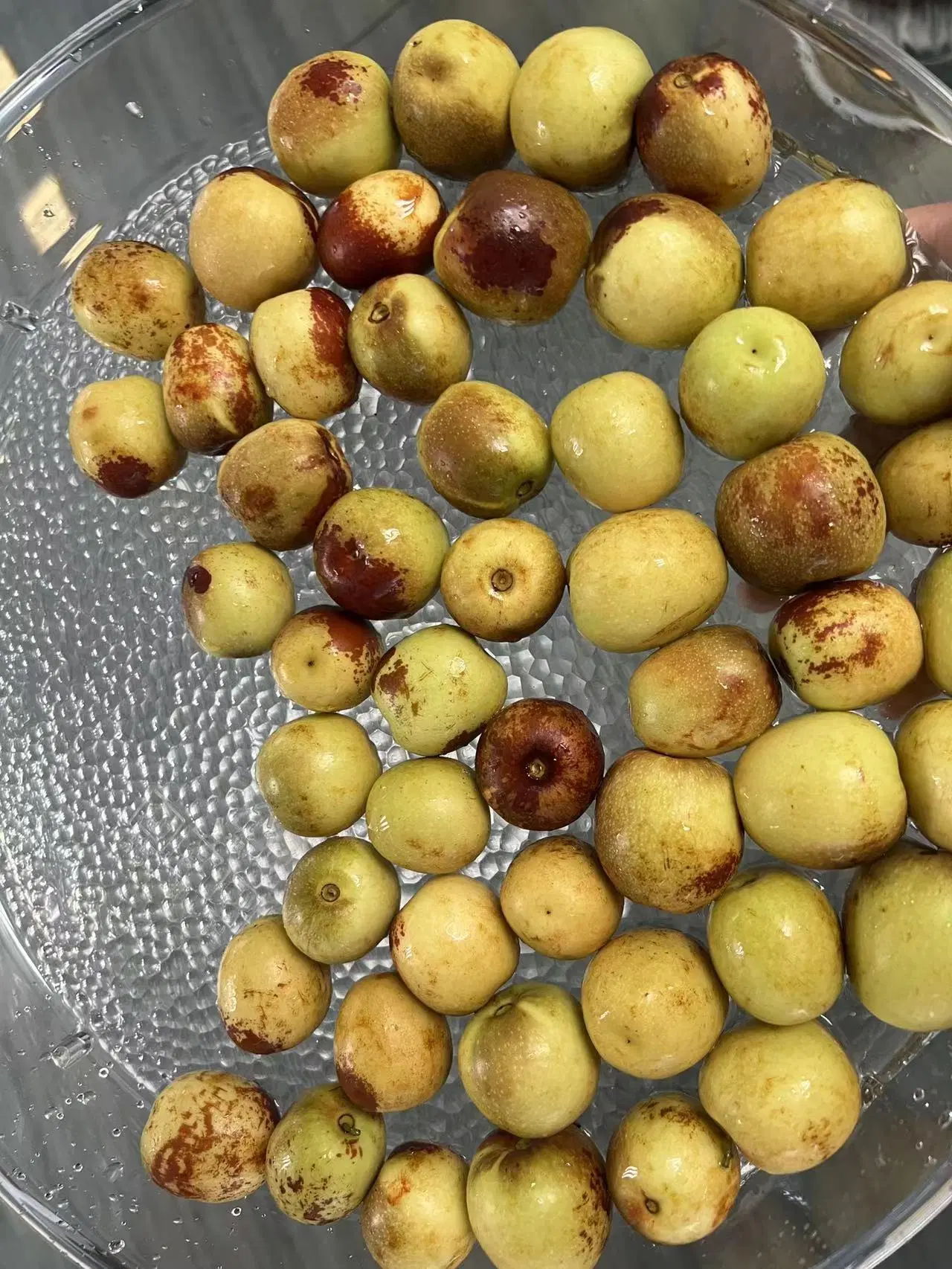 2022 Nova cultura doces frescas Datas de maçã fresca de frutos Jujube Jujube Inverno para exportação