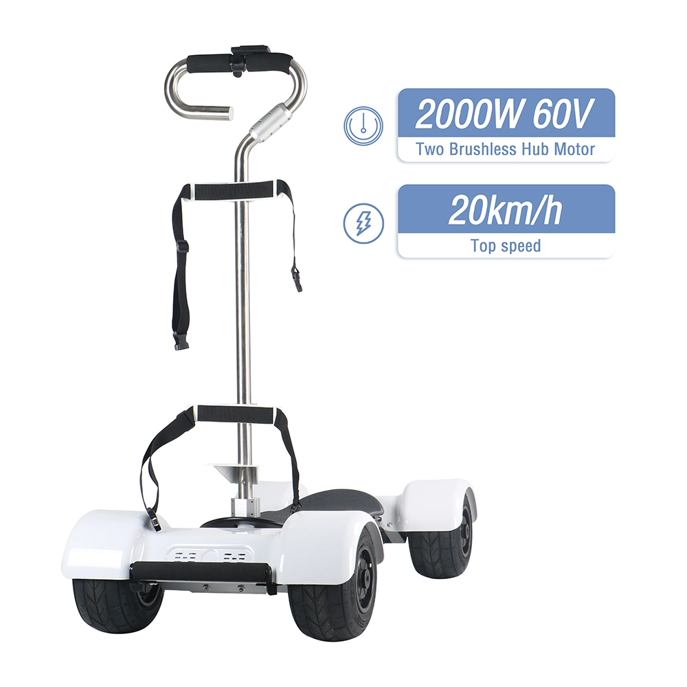 Ksm-930 New Model Electric Powered Golf Cart Bike Electric Skateboard 4 Wheels 2000W 60V for Adults