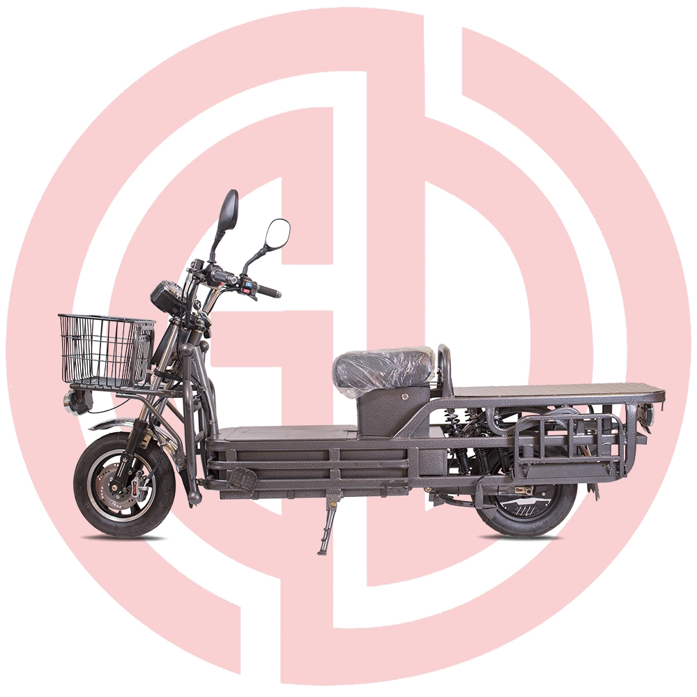 Les adultes Cargo Bike à deux roues scooter électrique moto roi de charge