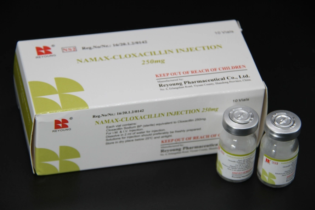 GMP Certified Cloxacillin Sodium for Injection/Sensitive Antibiotics/High Quality Forendocarditis