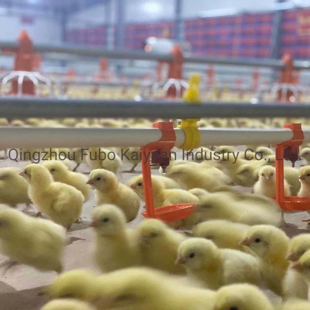 Geflügelzüchtungsanlagen Automatische Hühnerfütterung Pan System Broiler Züchter System Für Die Anhebung Der Linie