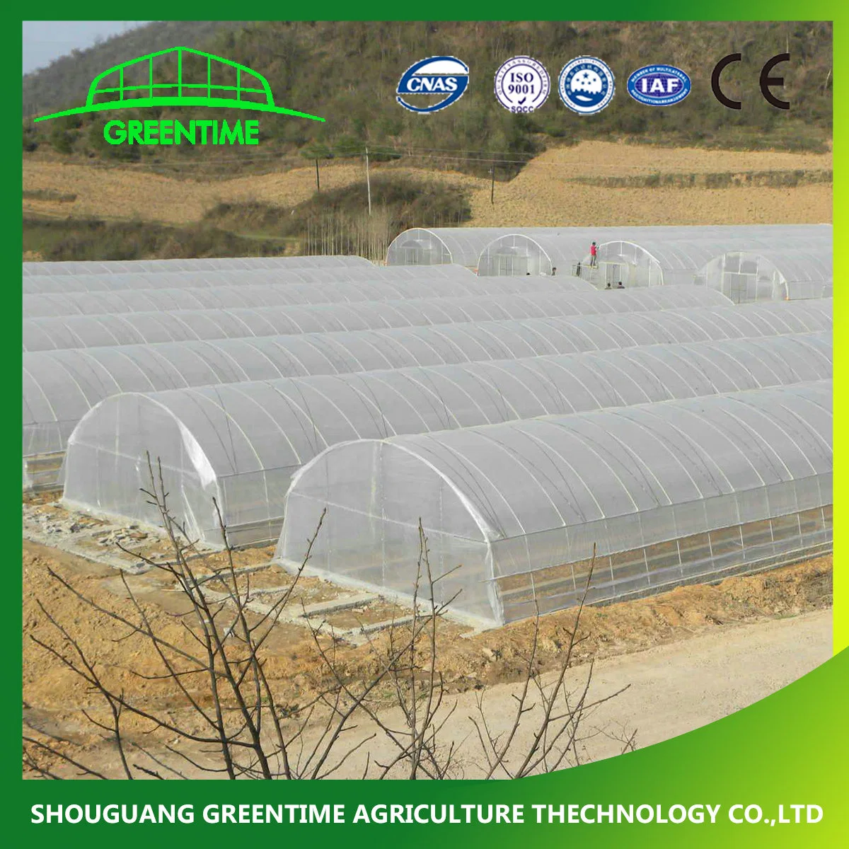 Agricultural/Commercial Single Span/Cheap Tunnel/Gothic Plastic Film Hydroponic Greenhouse for Tomatoes Lettuce Cucumber